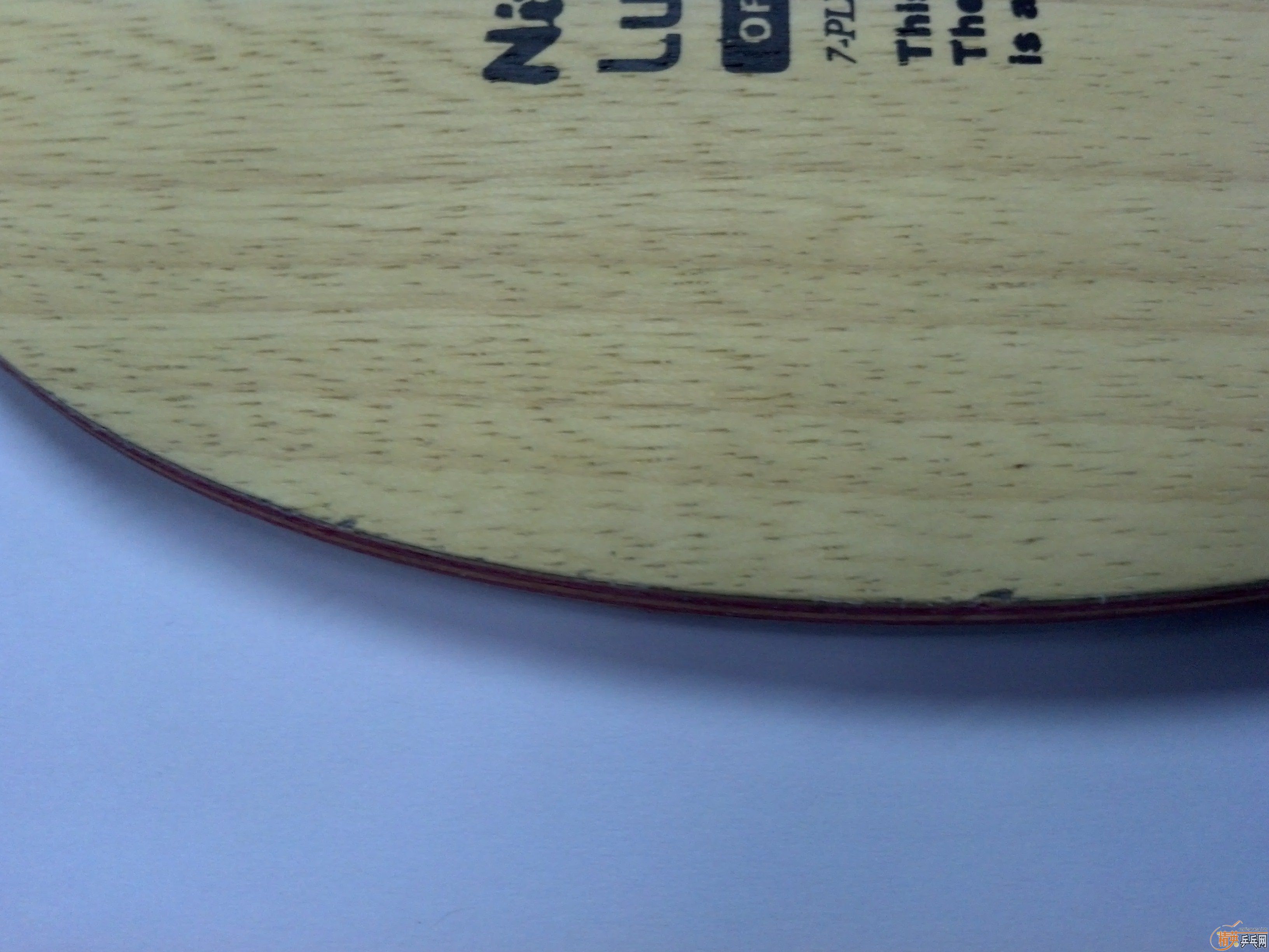 ST������87g����ɫ�Զ��壬560���ʡ�