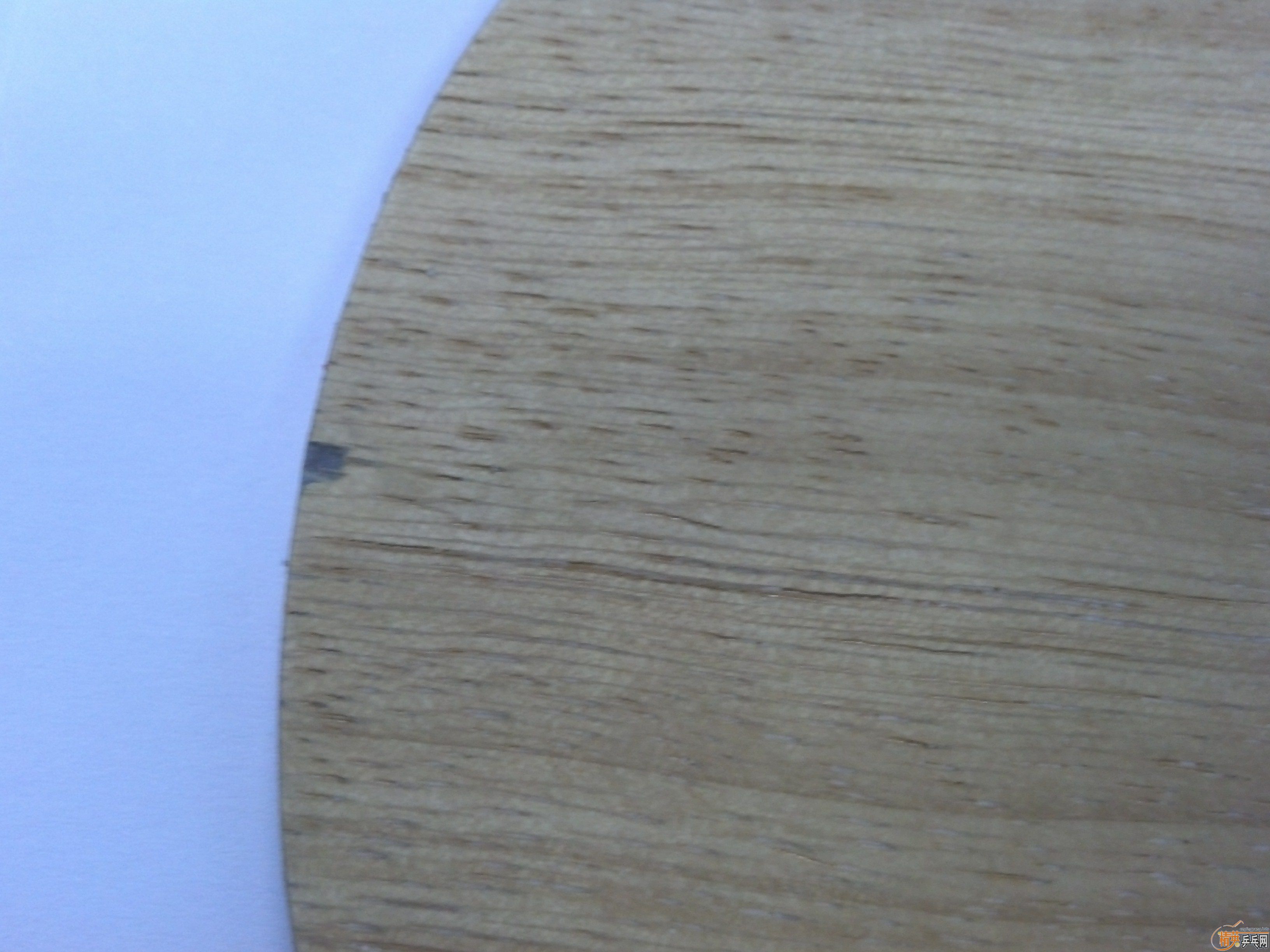 ST������87g����ɫ�Զ��壬560���ʡ�