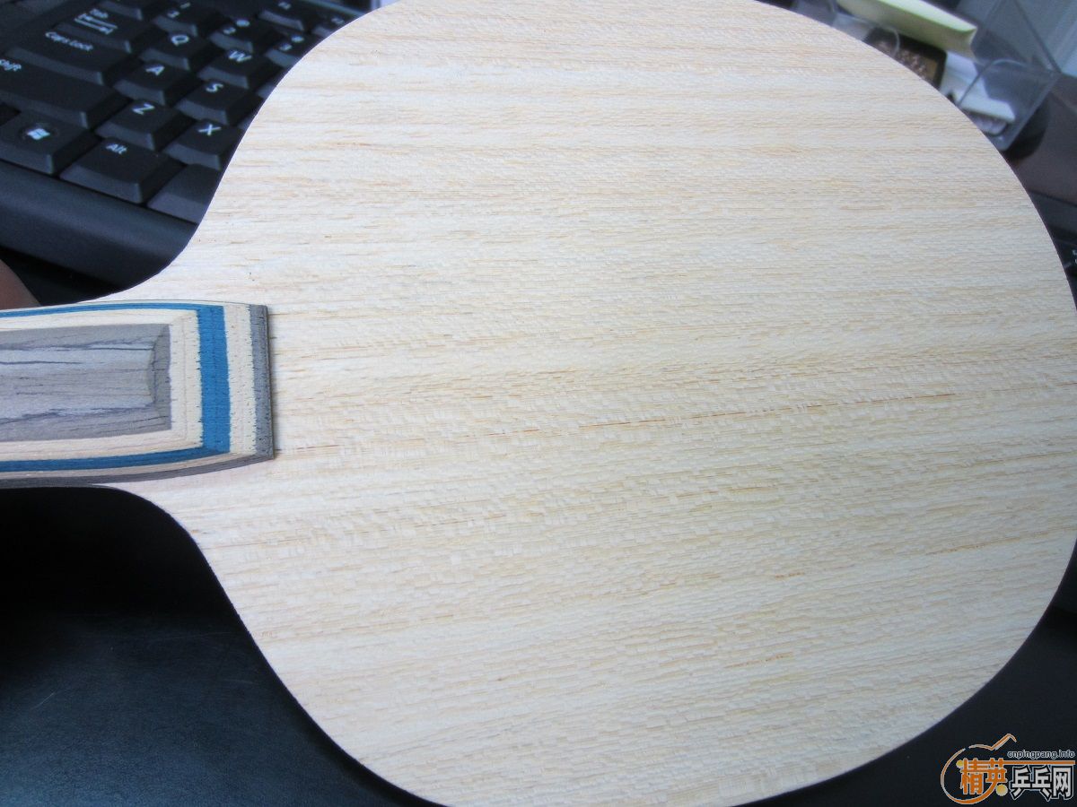 ��ԭ��������L��VIS �������л�ԭ���������С����91-92��