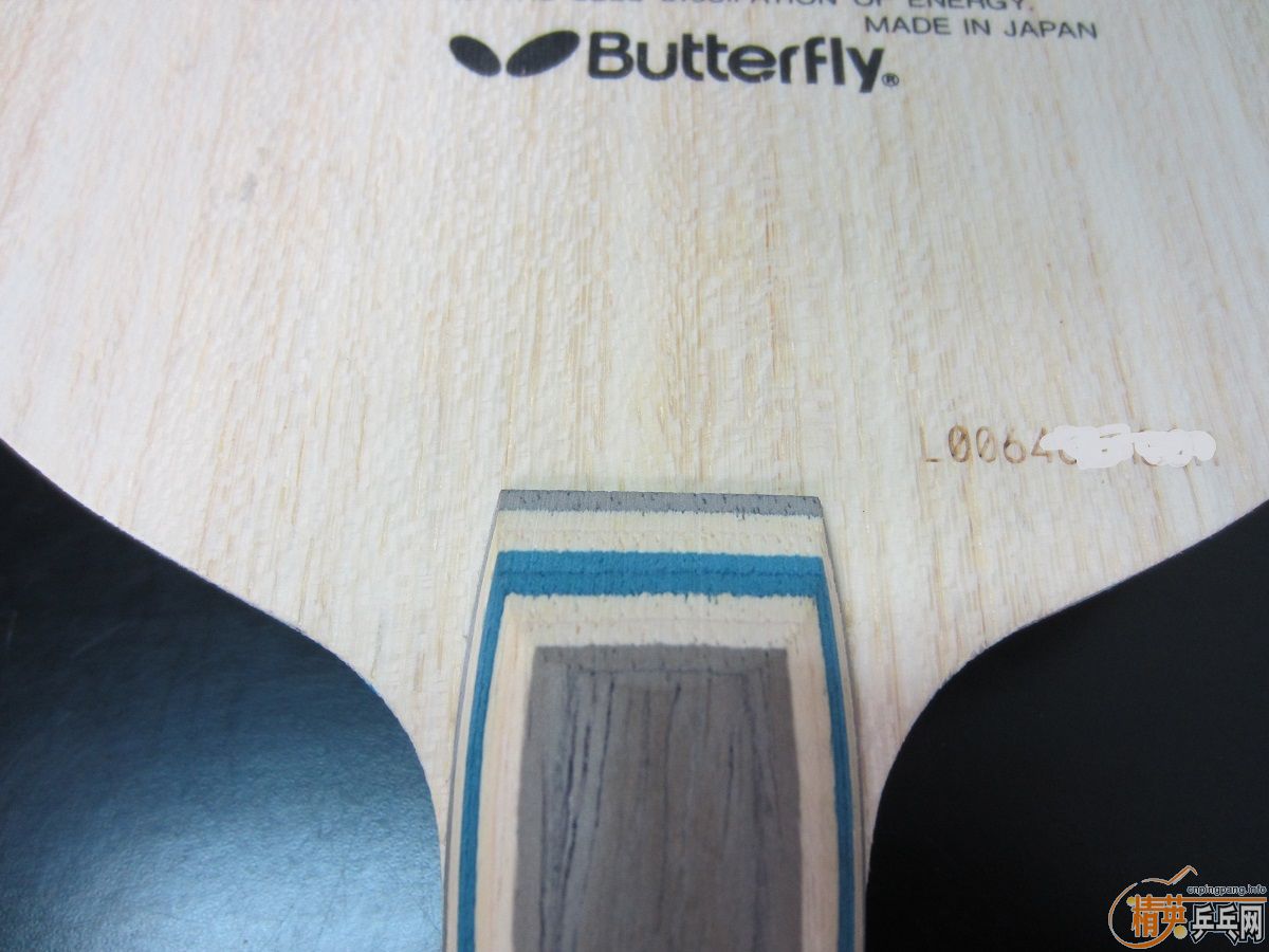 ��ԭ��������L��VIS �������л�ԭ���������С����91-92��