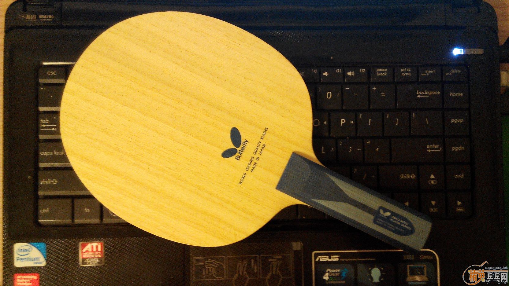 ����֧������ӣ�����