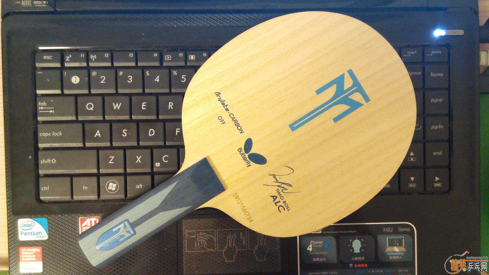 ����֧������ӣ�����