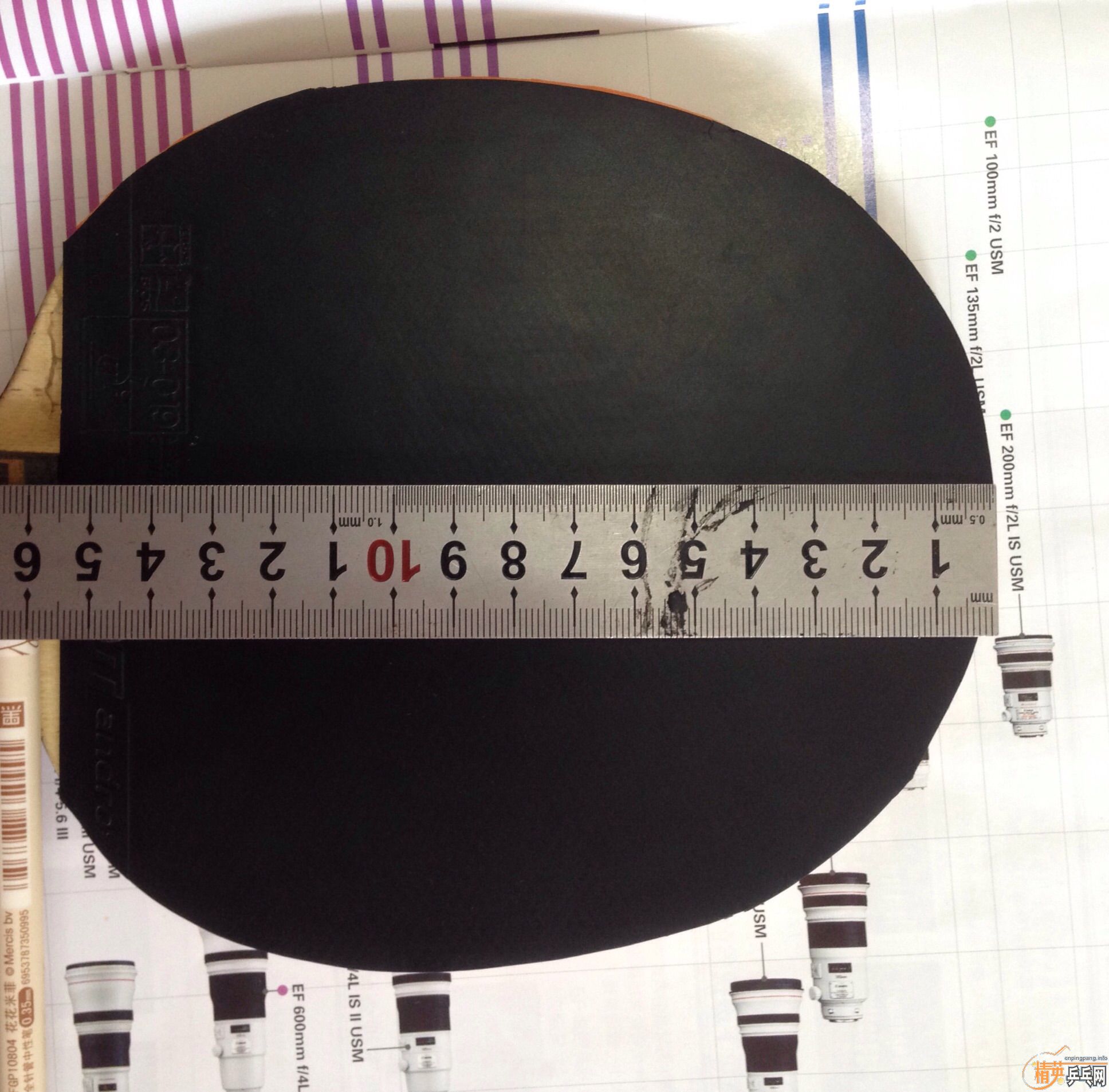 ����ɷ��ɫ�����Ű���!���淴��ͼƬ����!Q1287128456