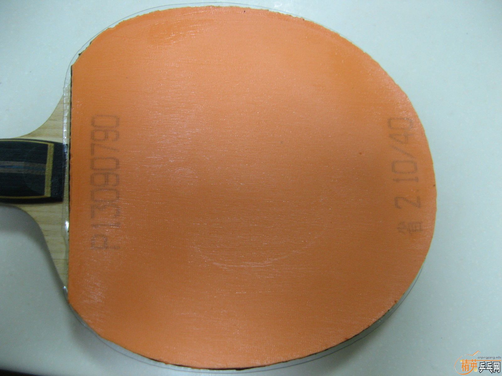 40��2.1����޻�ʡ��