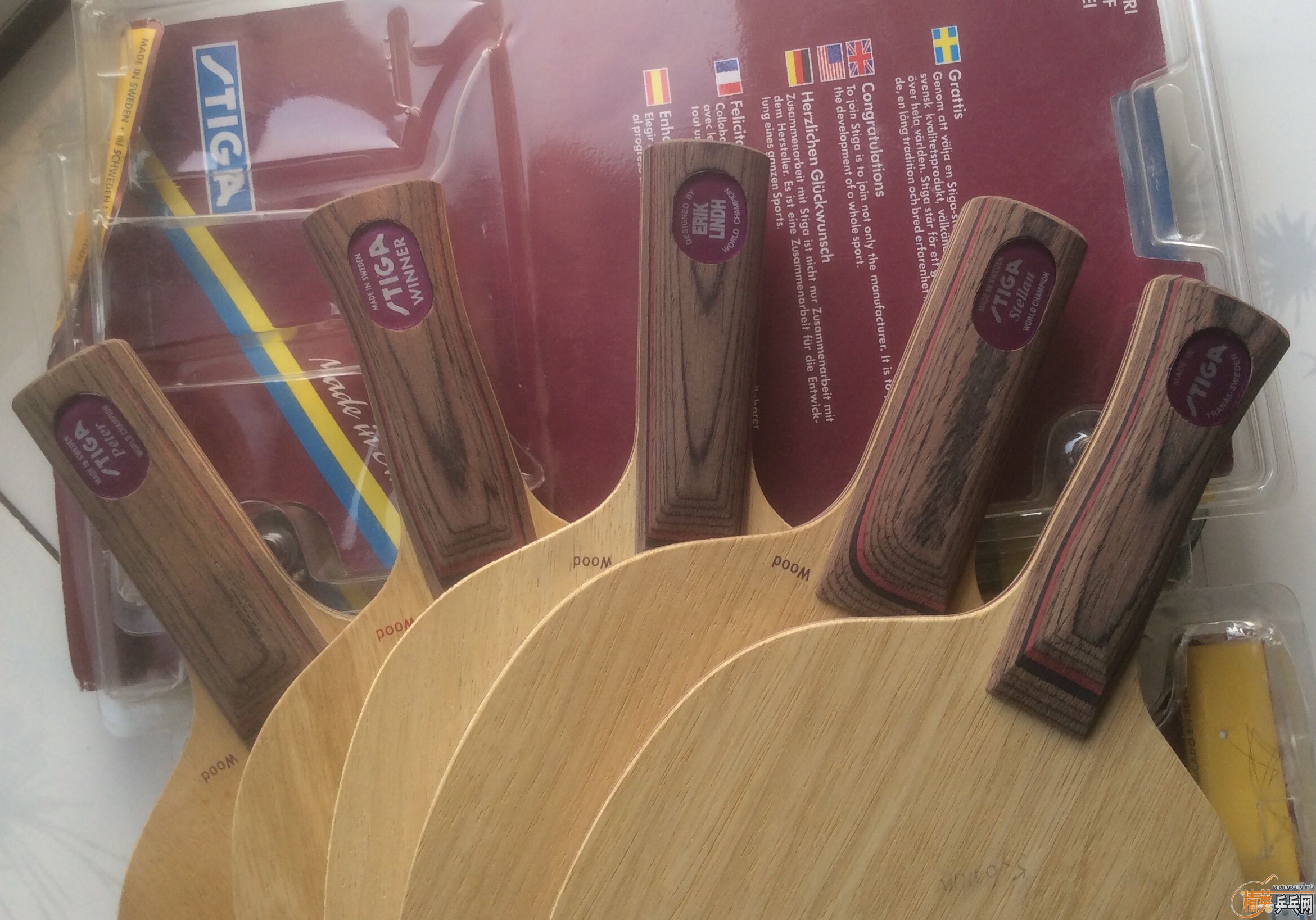 ����ֻ��stiga dy��gp