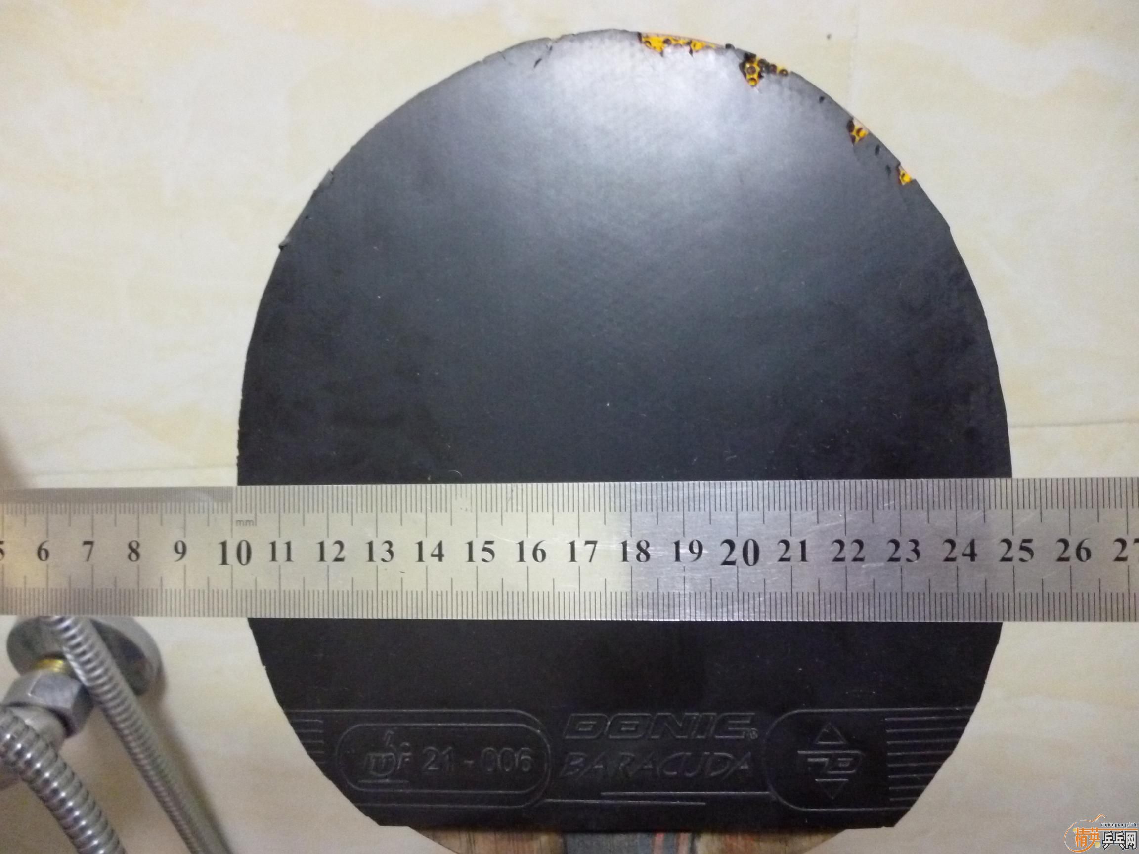 ��ɫ�����barakuda�������70�����