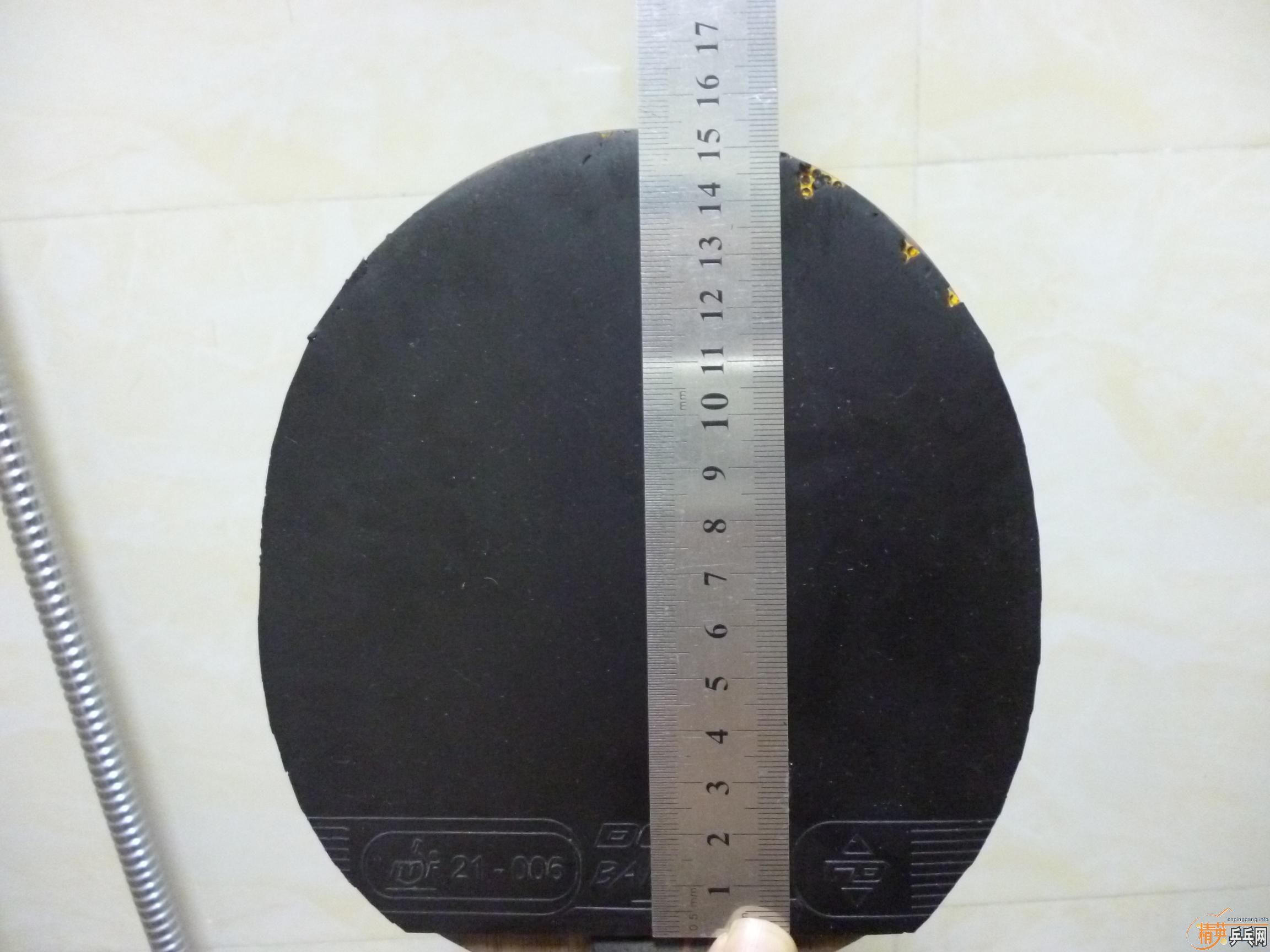 ��ɫ�����barakuda�������70�����