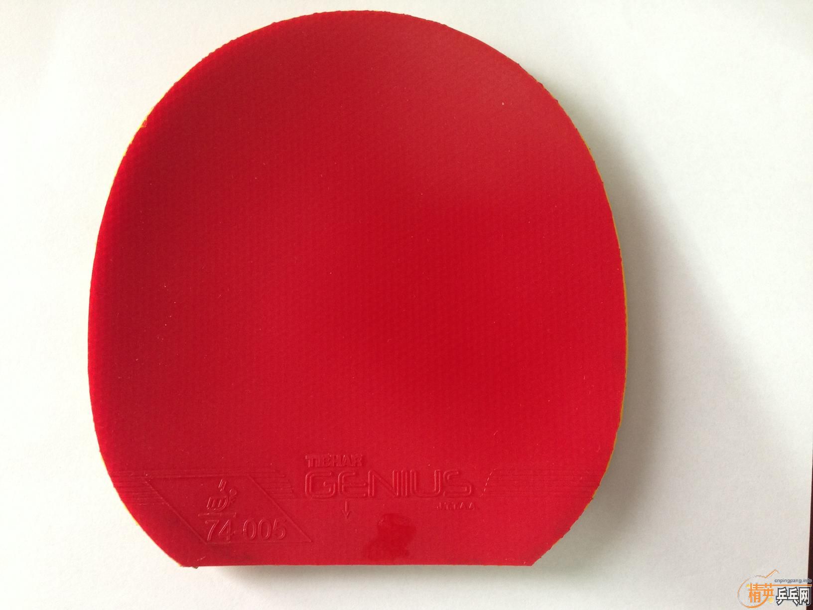 ͦ����ź�ɫ