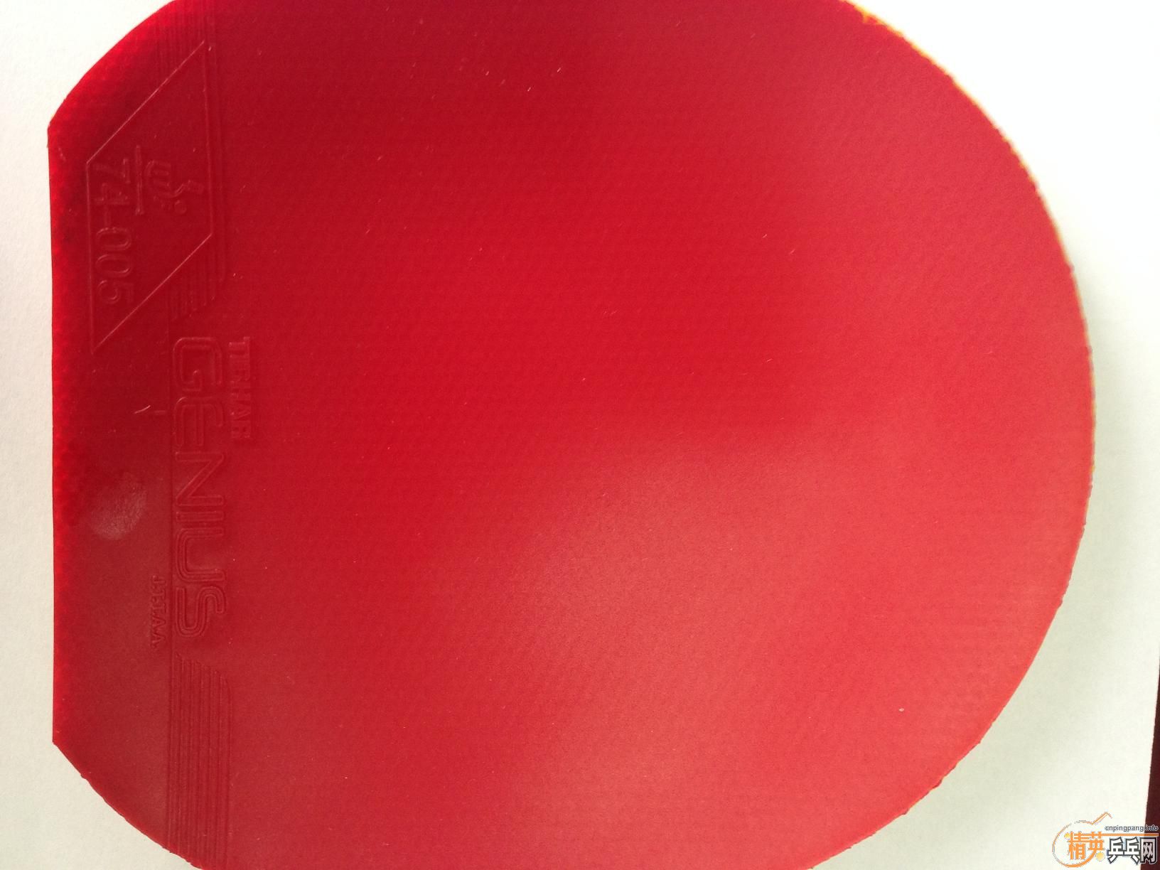 ͦ����ź�ɫ