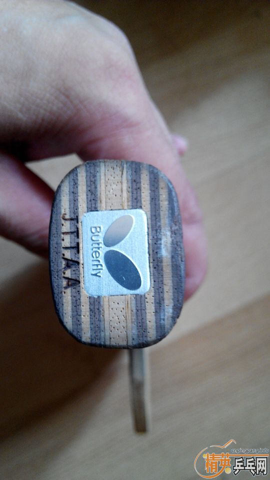 ������ӻ�������