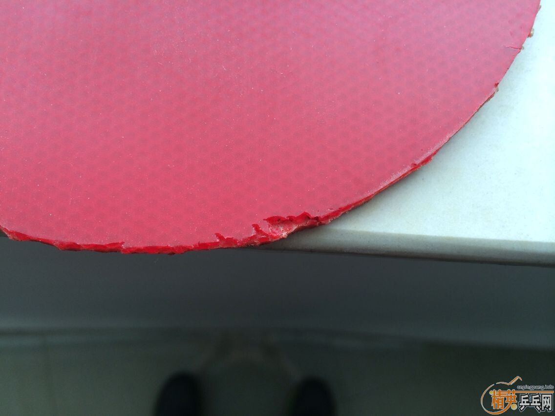 ���ų�ɫ��������T05 ��������