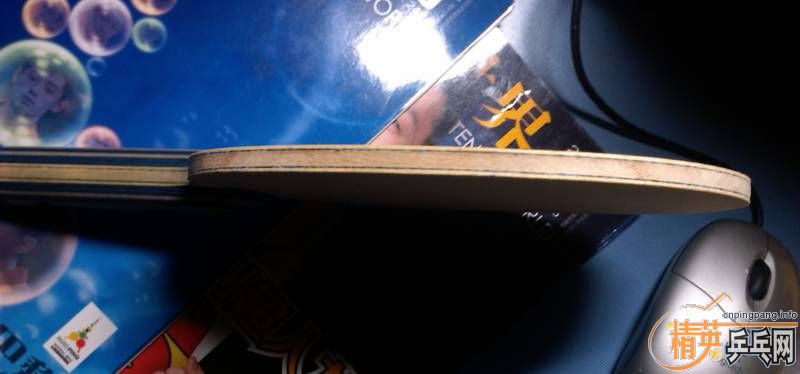 �����������ͺ����� VISCARIA LIGHT �� ��ת������Ƥ