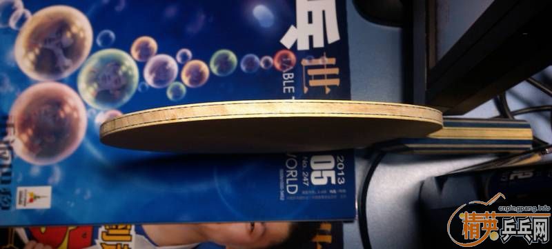 �����������ͺ����� VISCARIA LIGHT �� ��ת������Ƥ