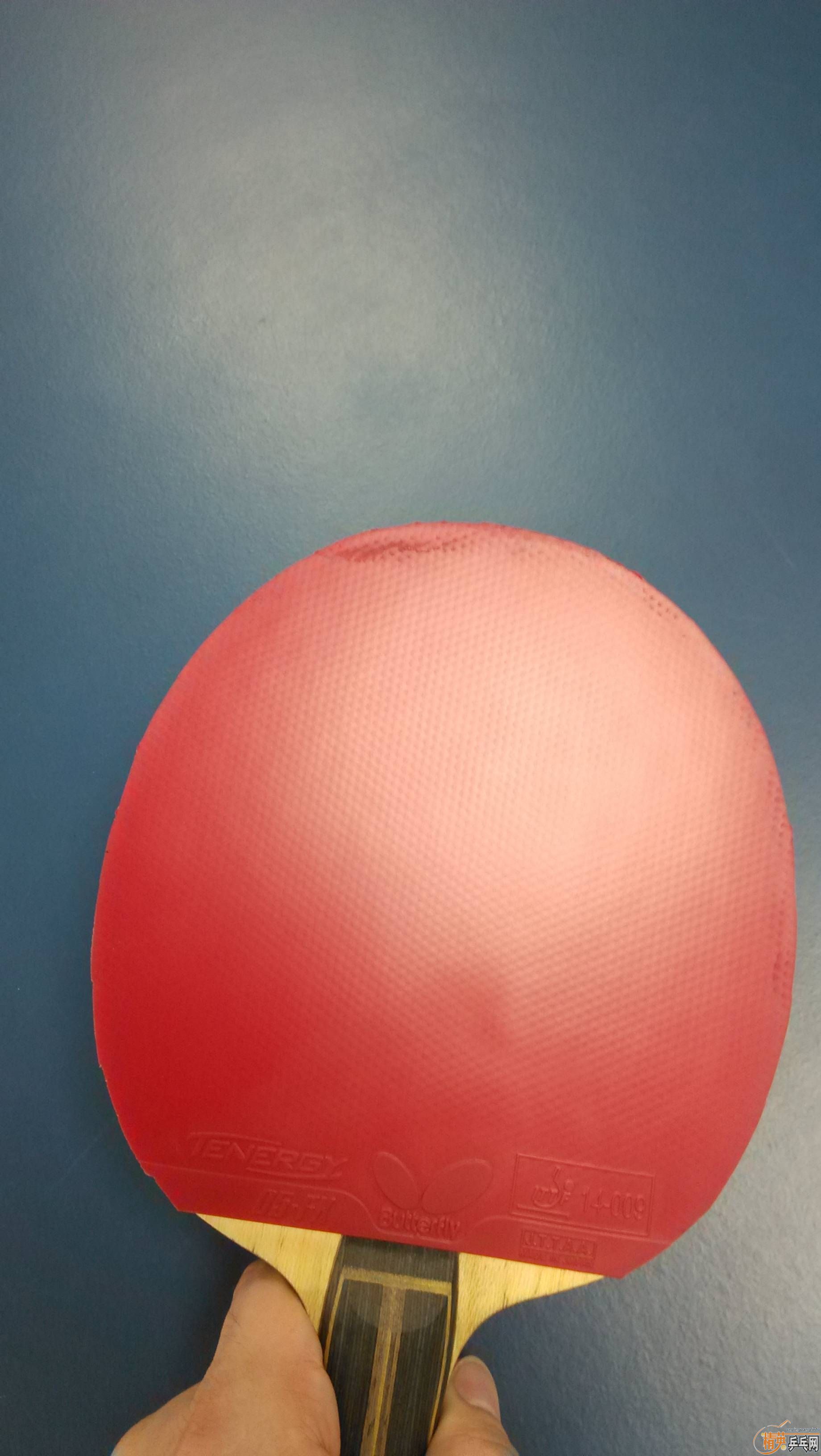 ��������T05fx������9�ס���֧������