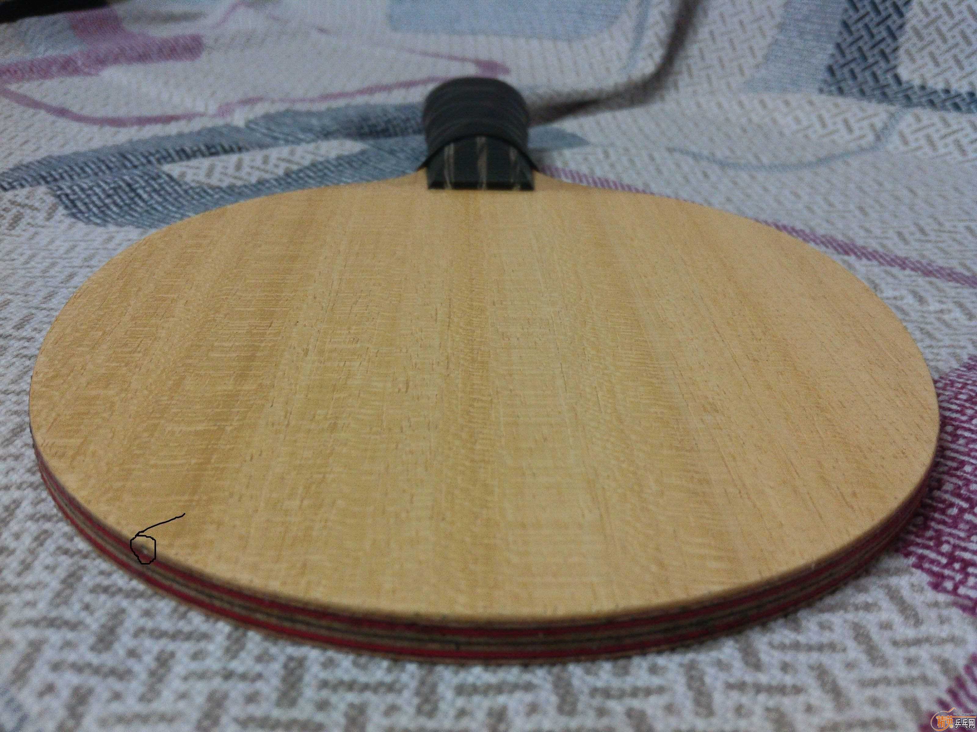 �Գ�FLͦ����̼��