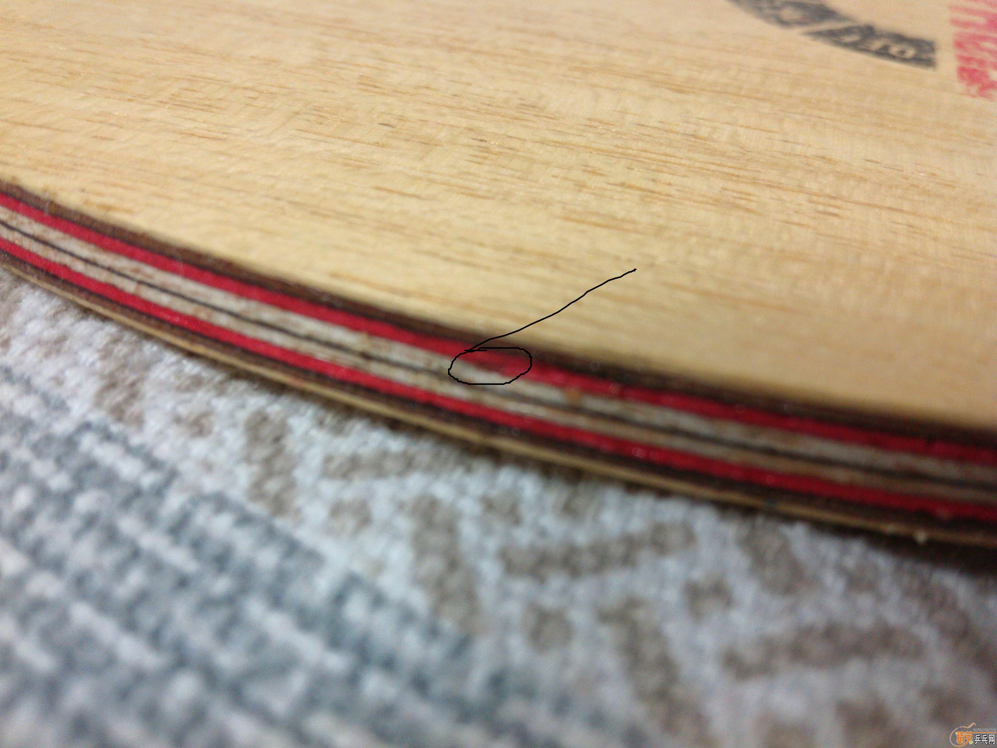 �Գ�FLͦ����̼��