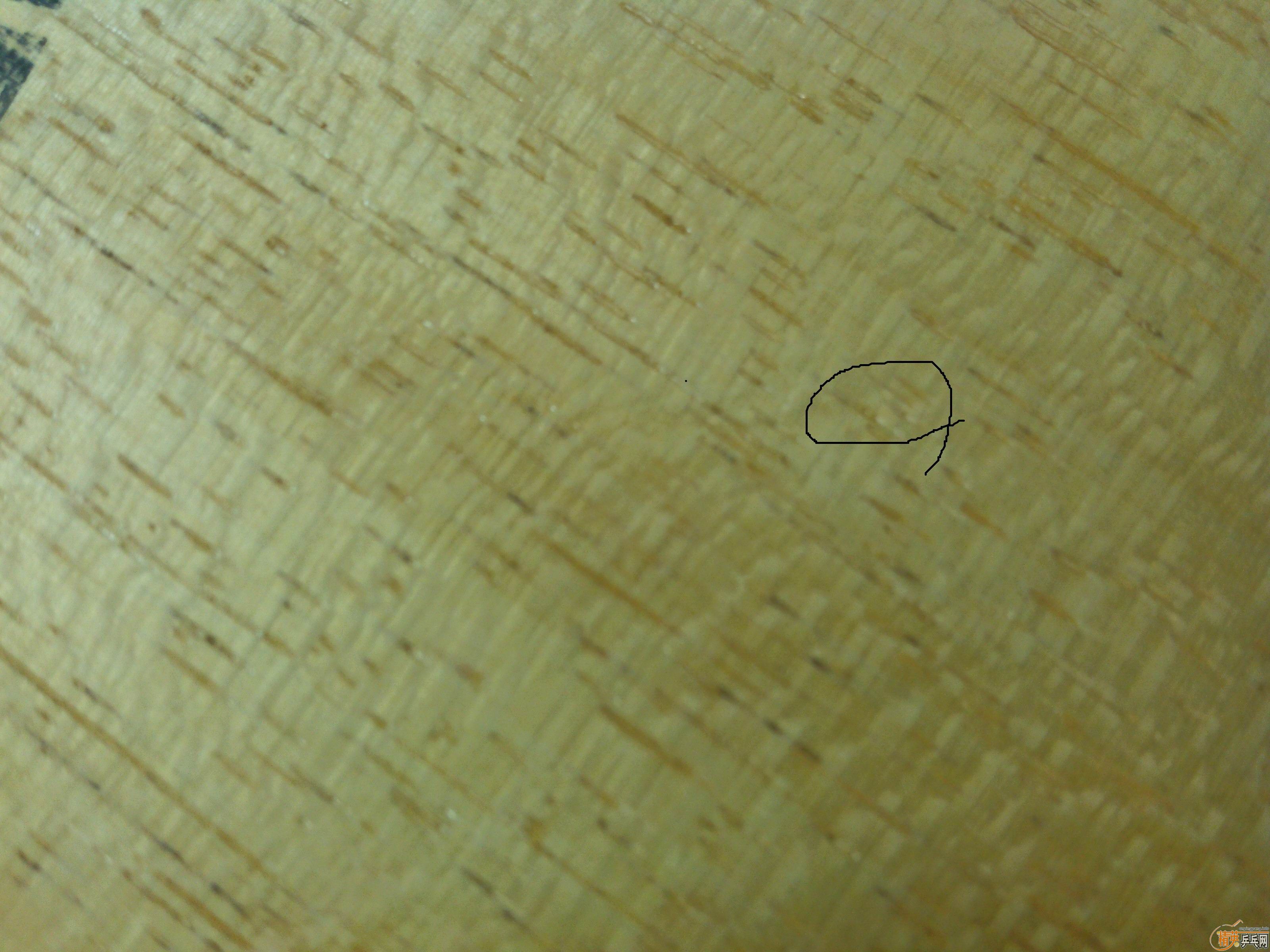 �Գ�FLͦ����̼��