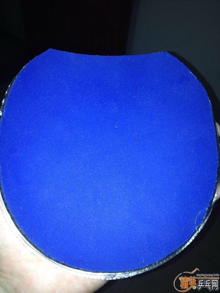 ͦ��ELP�������ʡ��40