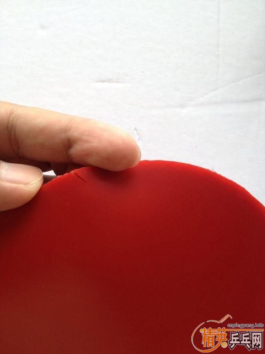 ͦ��ELP�������ʡ��40