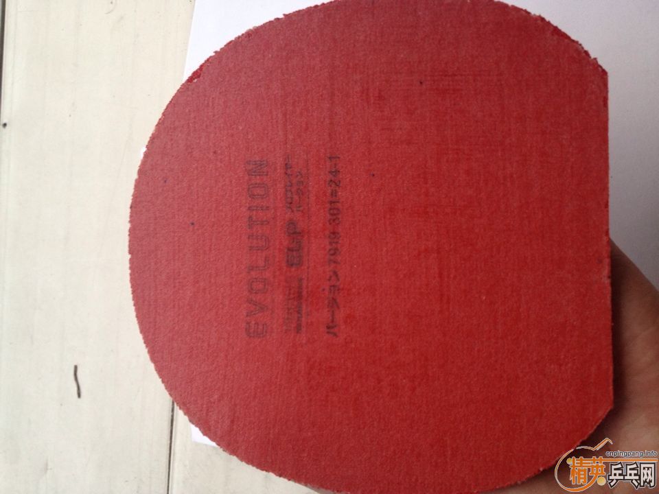 ͦ��ELP�������ʡ��40