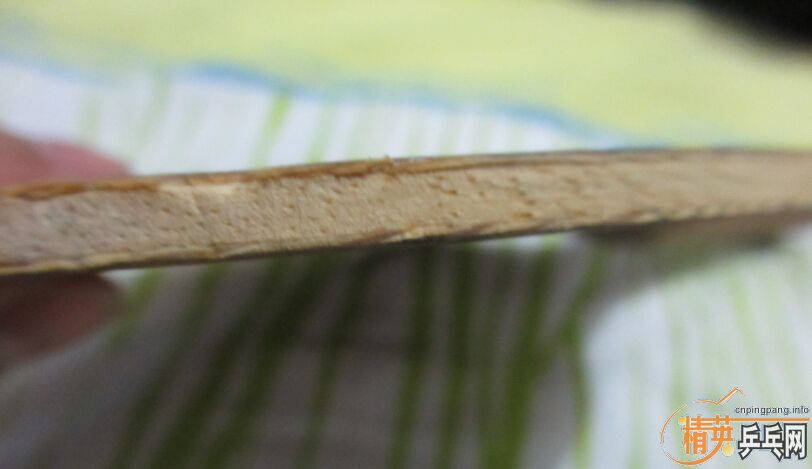 ��������ZLC��˹�ٿ�õ��5�������ǽ�����æ������