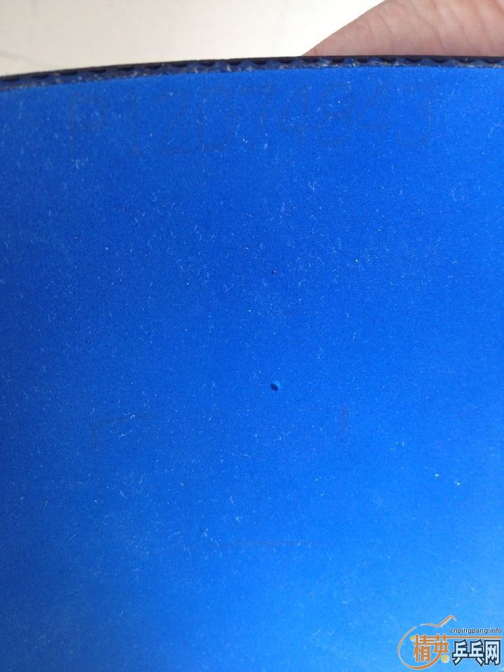 ͦ��ELP�������ʡ��40