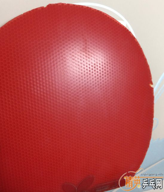 ����ɫ��ͣ���ɫ39����