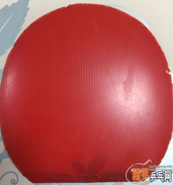 ����ɫ��ͣ���ɫ39����