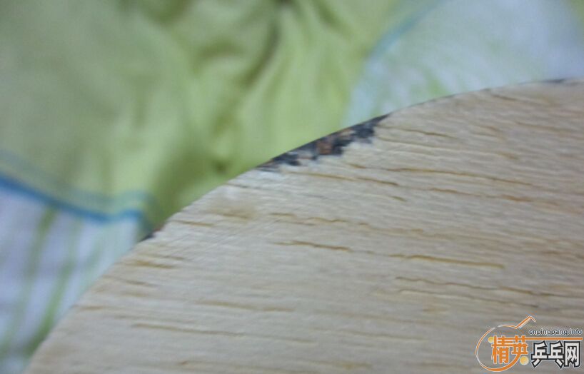 ��������ALC��˹�ٿ�õ��5�������ǽ�����æ������