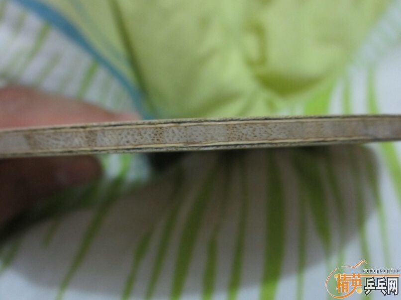 ��������ALC��˹�ٿ�õ��5�������ǽ�����æ������