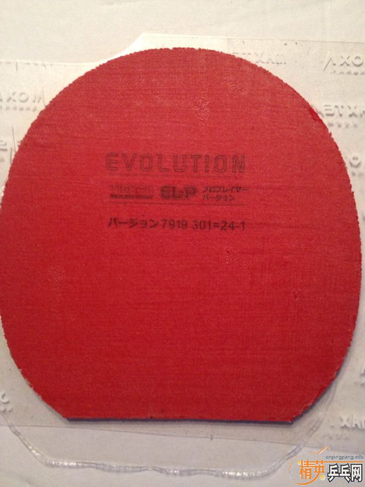 ͦ��ELP�������ʡ��