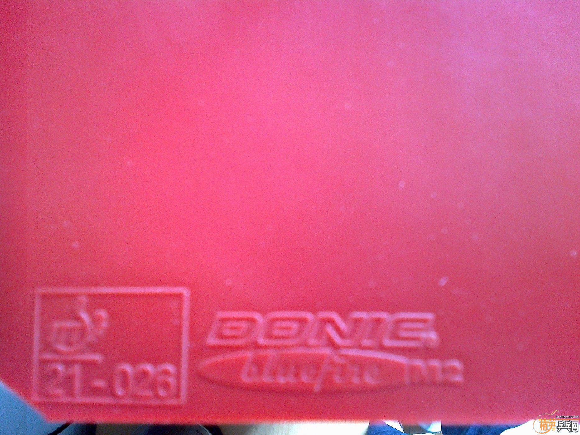 DONIC JP01ڣMAXDONIC M2죬MAX