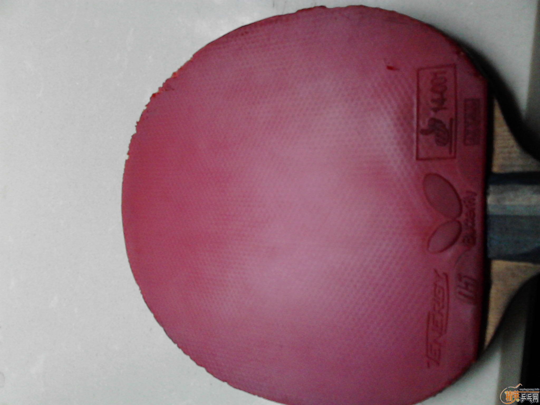 150һԺT05һһڣԳһ40ȵż̿600,Ȥ׷̼һ
