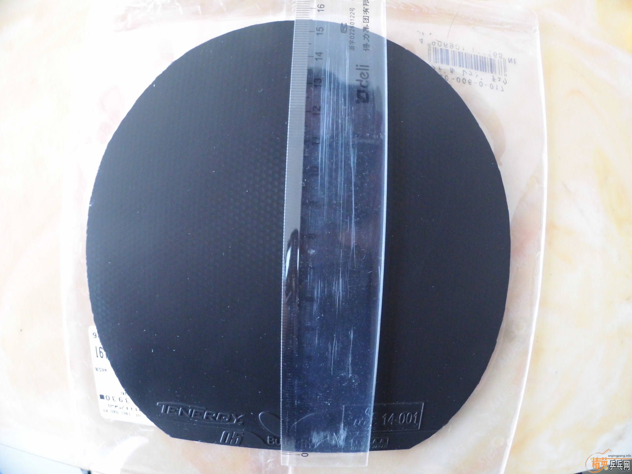 ���05��ֻ��һ�죬9.5���¡�240Ԫ��13804018281.