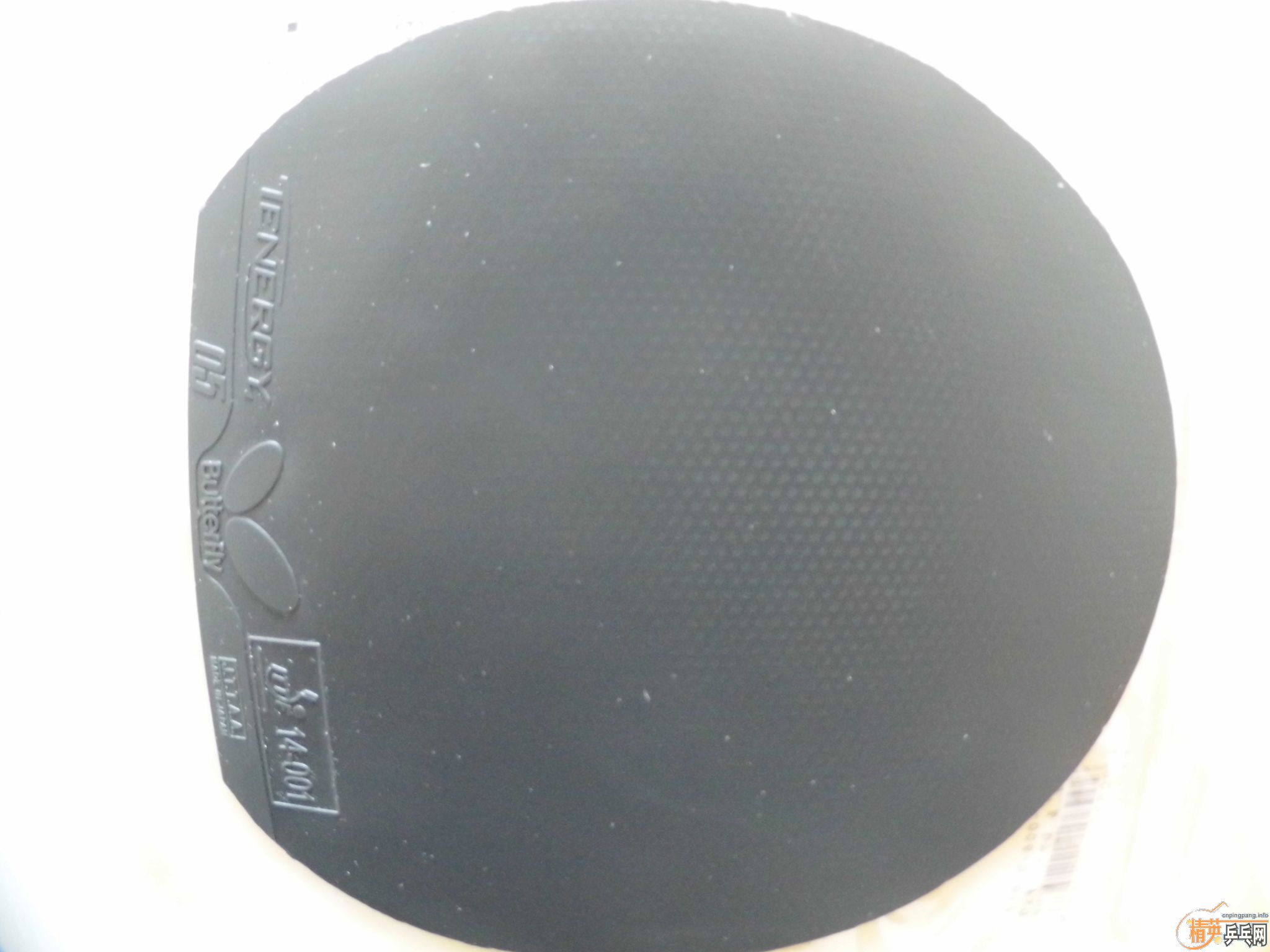 ���05��ֻ��һ�죬9.5���¡�240Ԫ��13804018281.