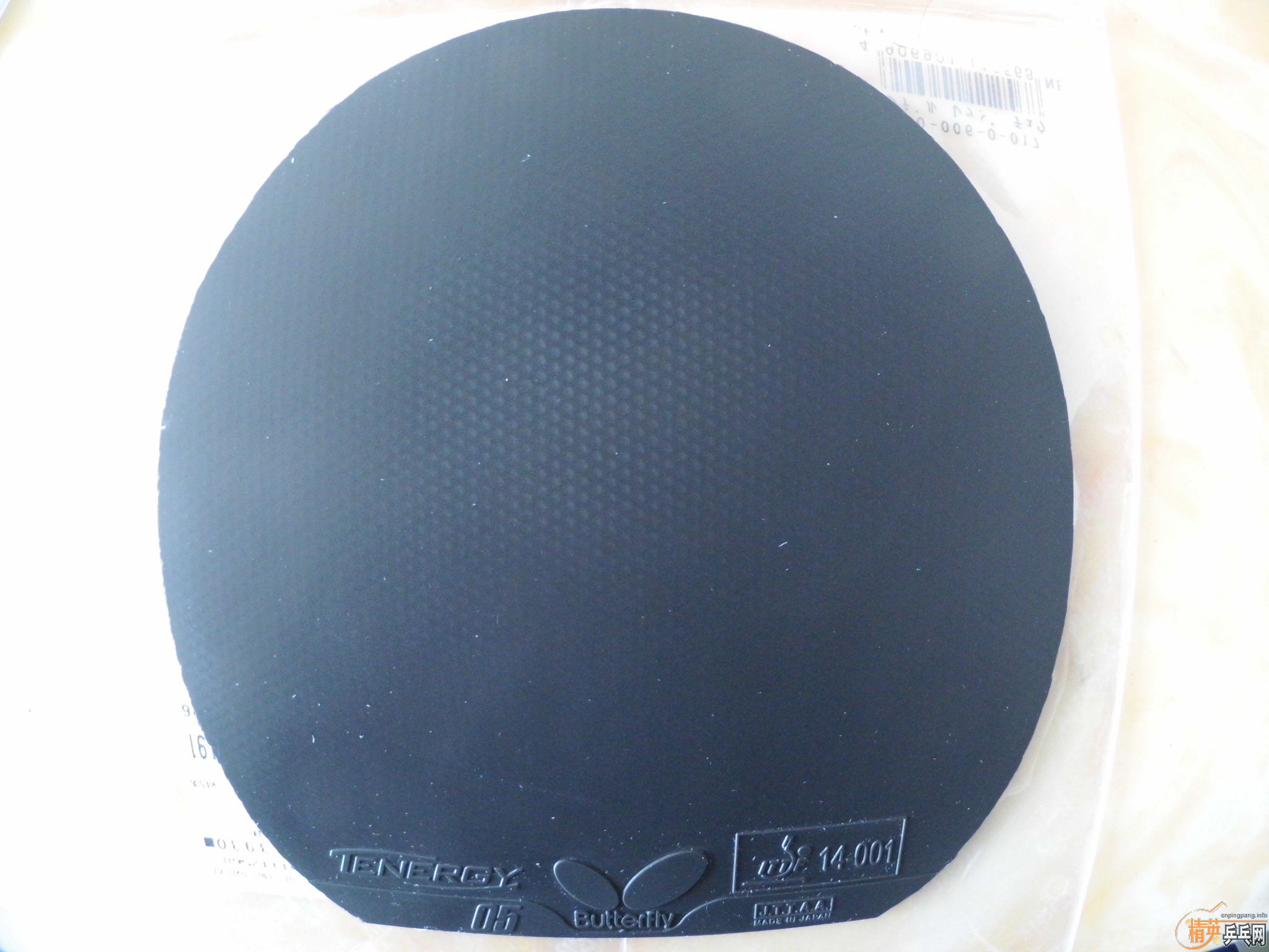 ���05��ֻ��һ�죬9.5���¡�240Ԫ��13804018281.