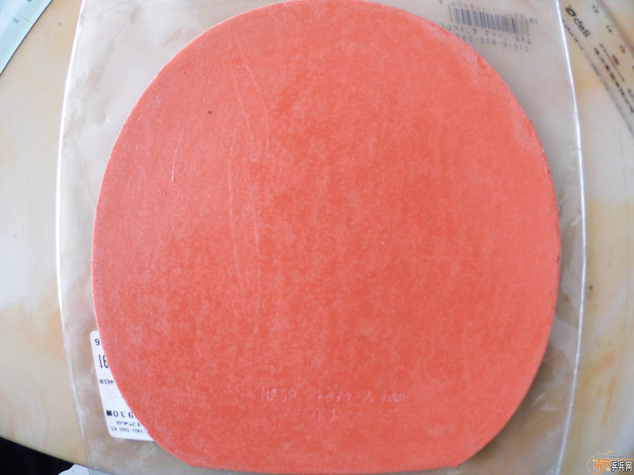 ���05��ֻ��һ�죬9.5���¡�240Ԫ��13804018281.