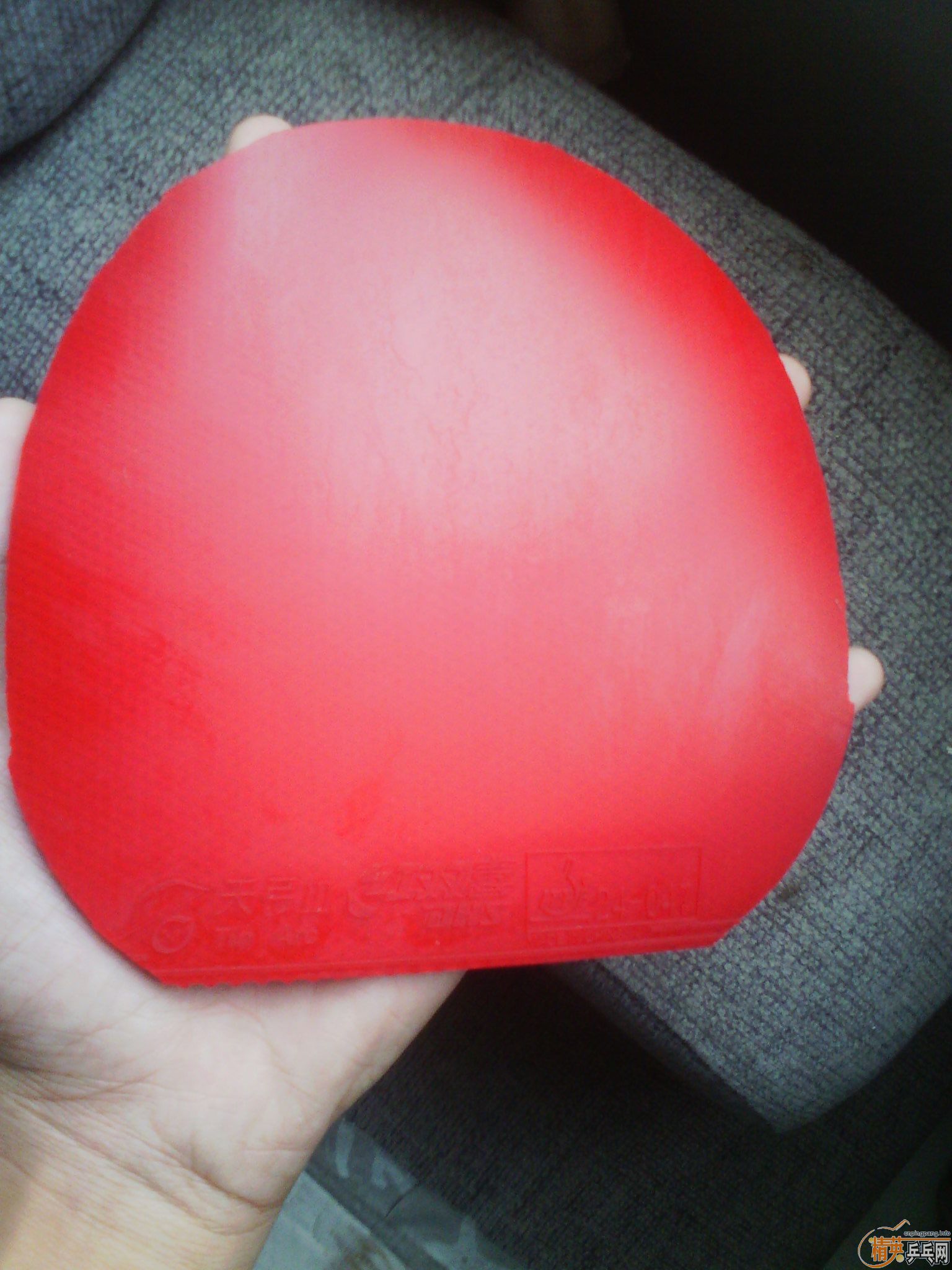 ���ž��µ��칭����729��Ʒ���۸�֤���ġ�