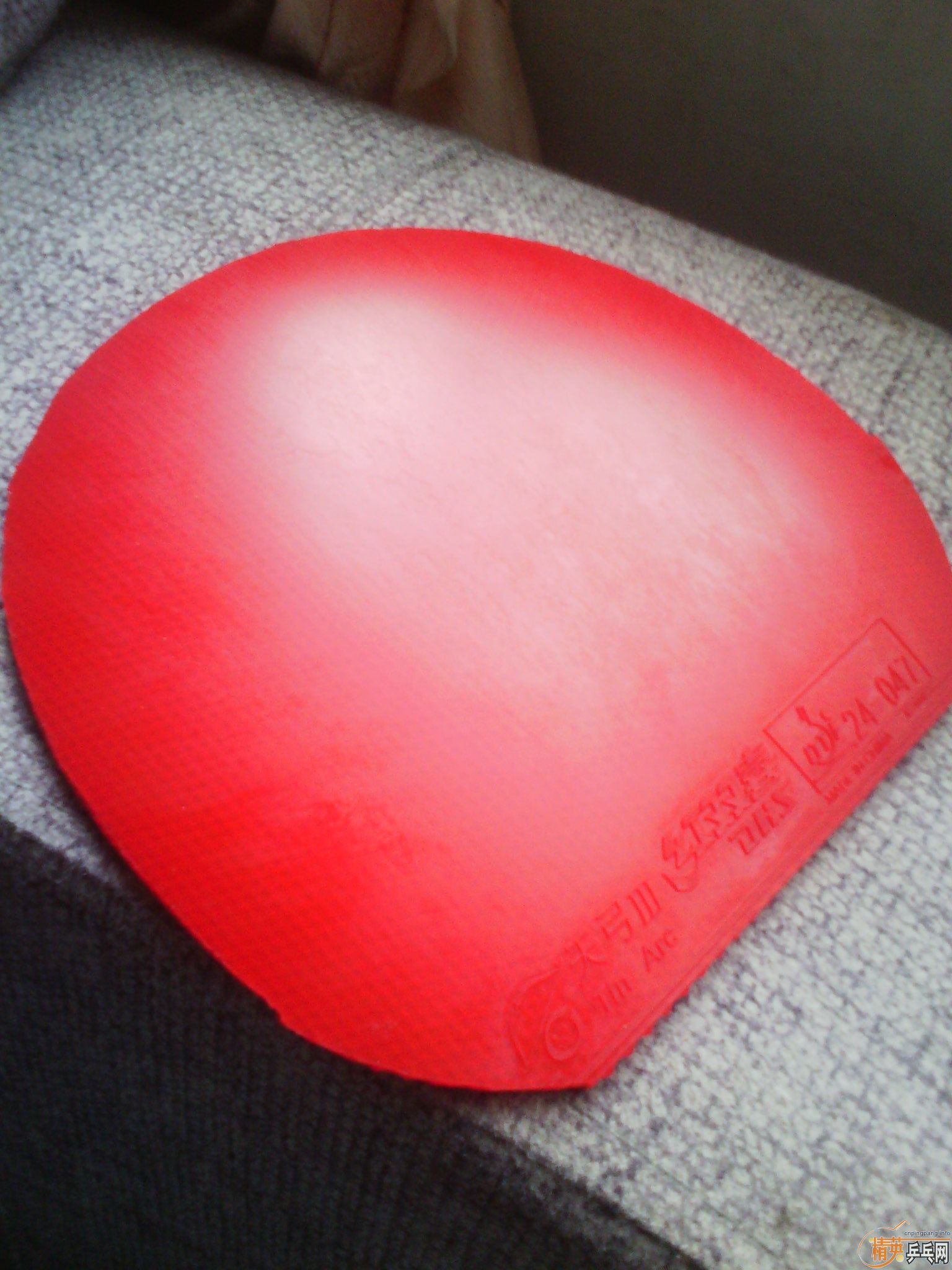 ���ž��µ��칭����729��Ʒ���۸�֤���ġ�