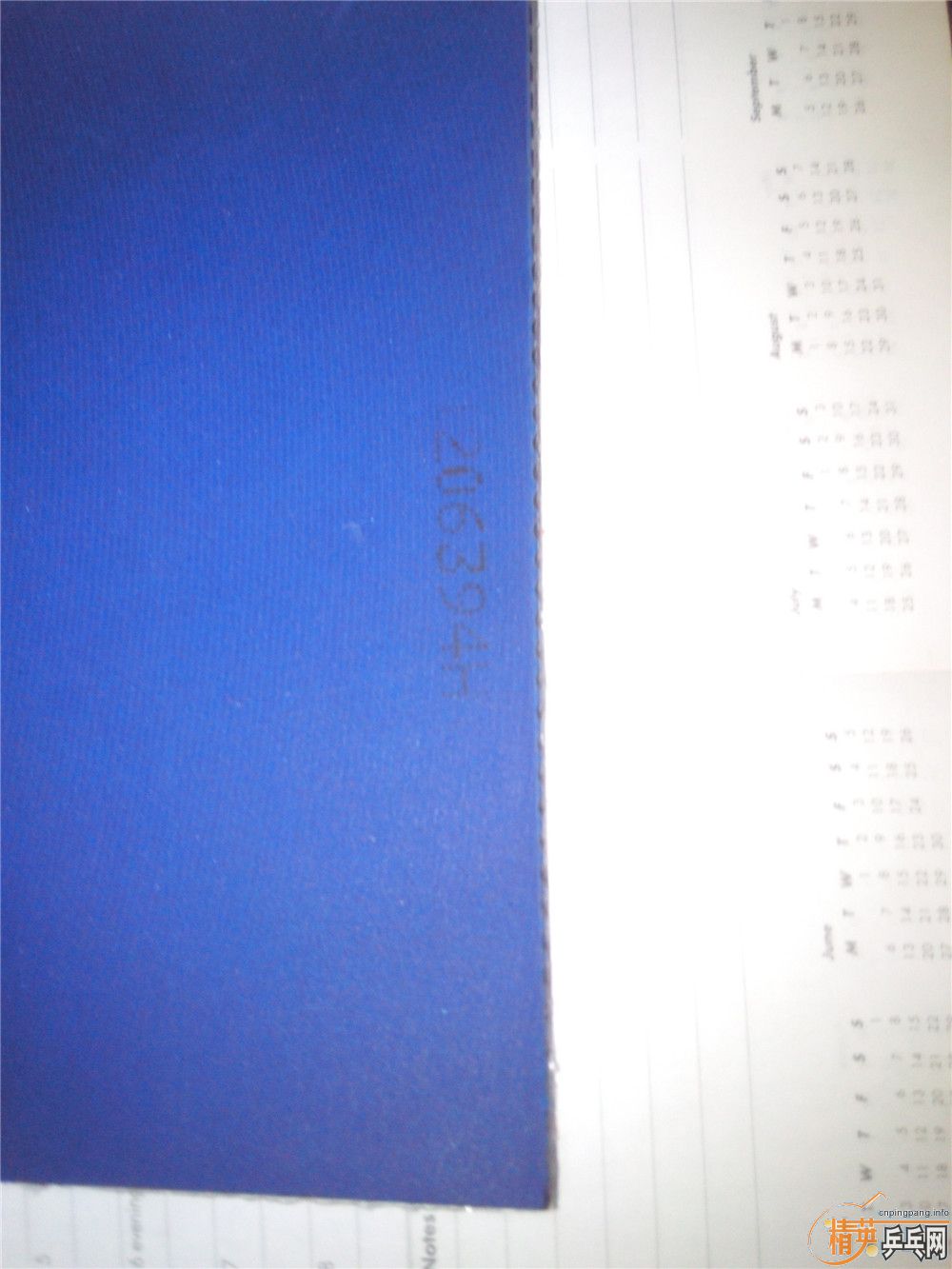 ��Ұ�æ����������ĳ������������켫���ǲ������