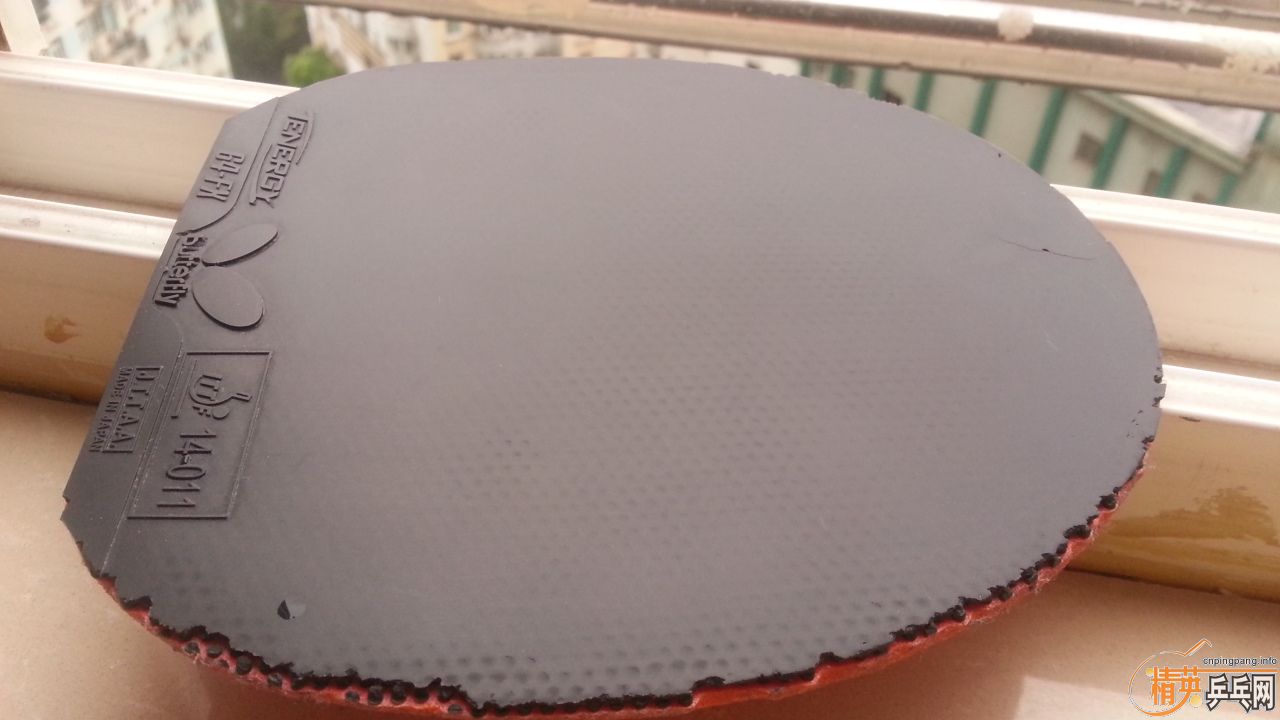 qL6cTt4y.jpg
