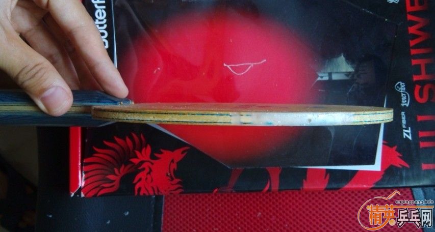 ~~~~~~����ֻ������һֻ����~~~~~~~~~~~~~~~~~~~~~~~~~~~~~~~~~~~~~~