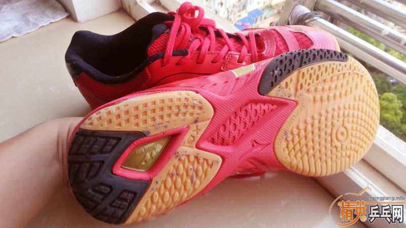 ����ŨЬ�Ӻͺ�������