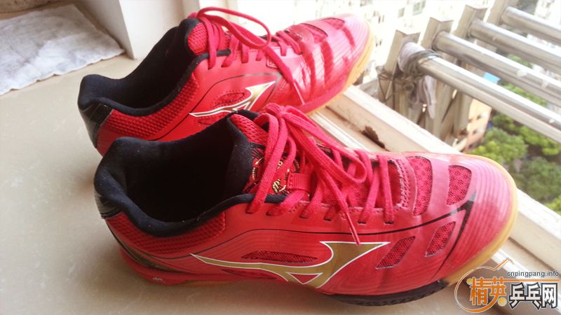 ����ŨЬ�Ӻͺ�������