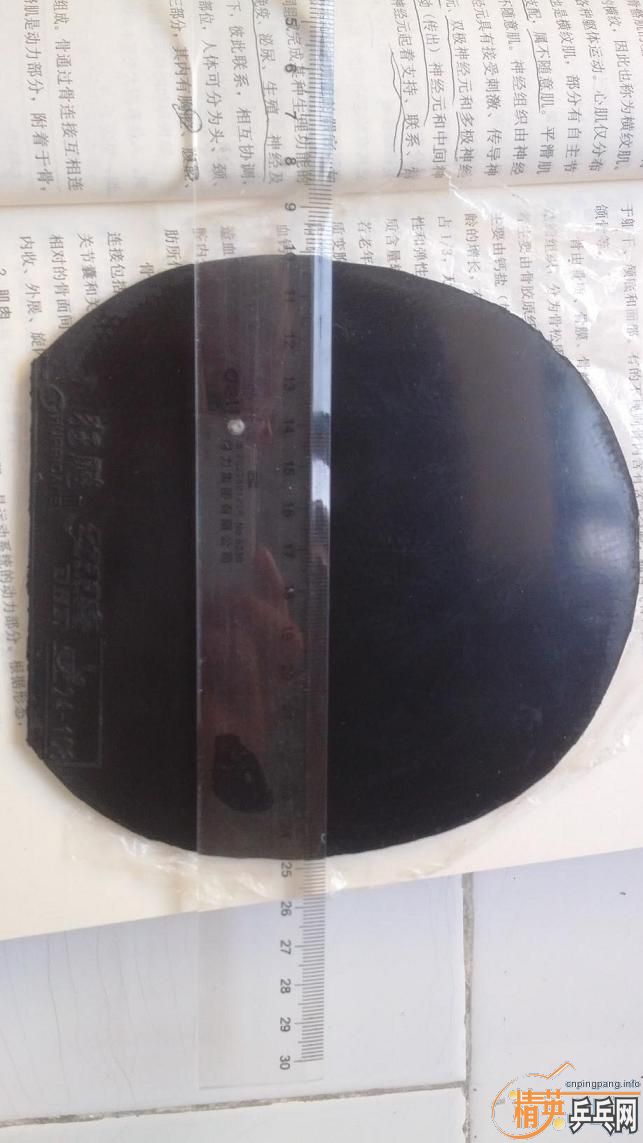 ��һ��������ʡ�� 40�� ����ֻ������� ��Ϊ��ϰ�߹ེ ��͸ ��Ƥ��ɫ�ܺ� �����ճ ����һ������ �ߴ���ͼ 110���� ������QQ472347791