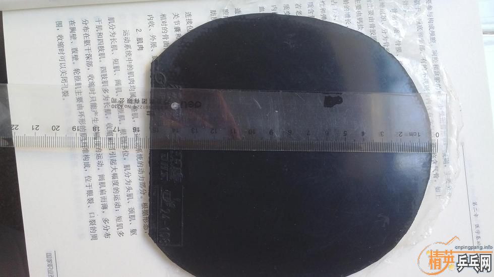 ��һ��������ʡ�� 40�� ����ֻ������� ��Ϊ��ϰ�߹ེ ��͸ ��Ƥ��ɫ�ܺ� �����ճ ����һ������ �ߴ���ͼ 110���� ������QQ472347791