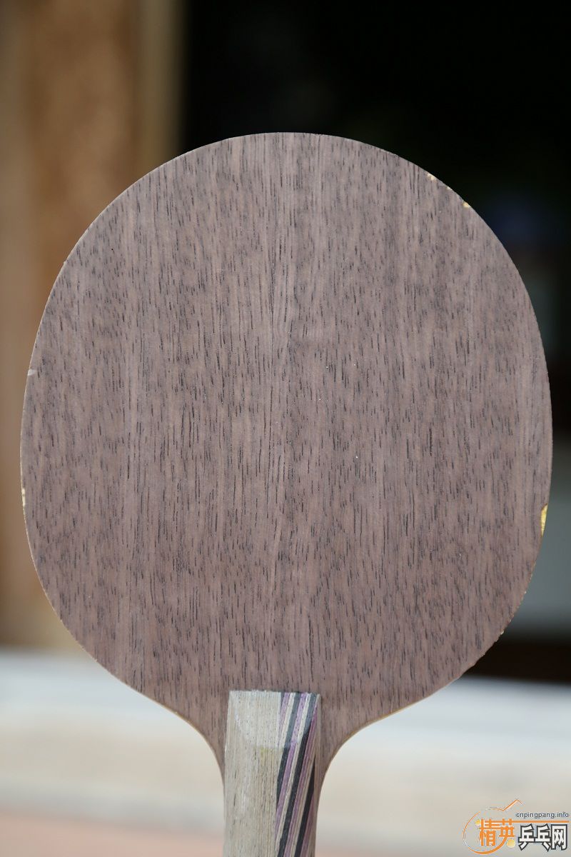 [ԭ��]��BOLL ZLC FL,STIGA T54 FL