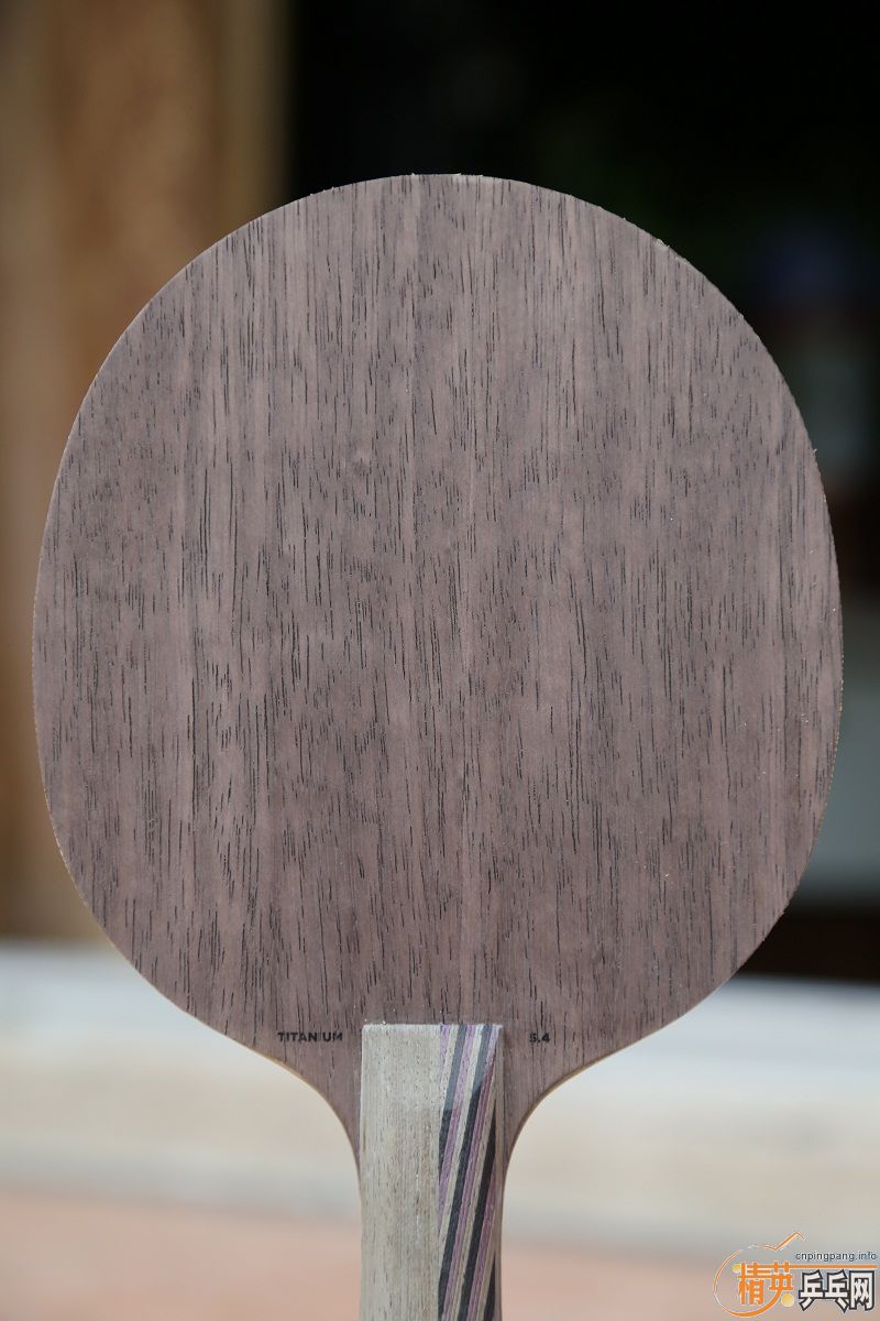 [ԭ��]��BOLL ZLC FL,STIGA T54 FL