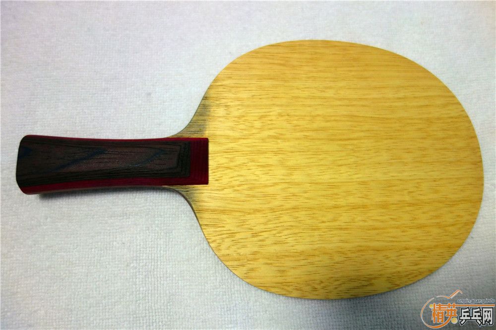 ��һֻ�����������