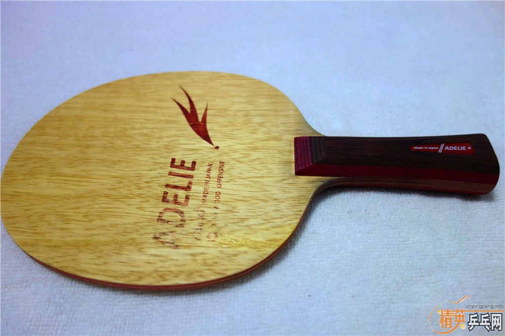 ��һֻ�����������